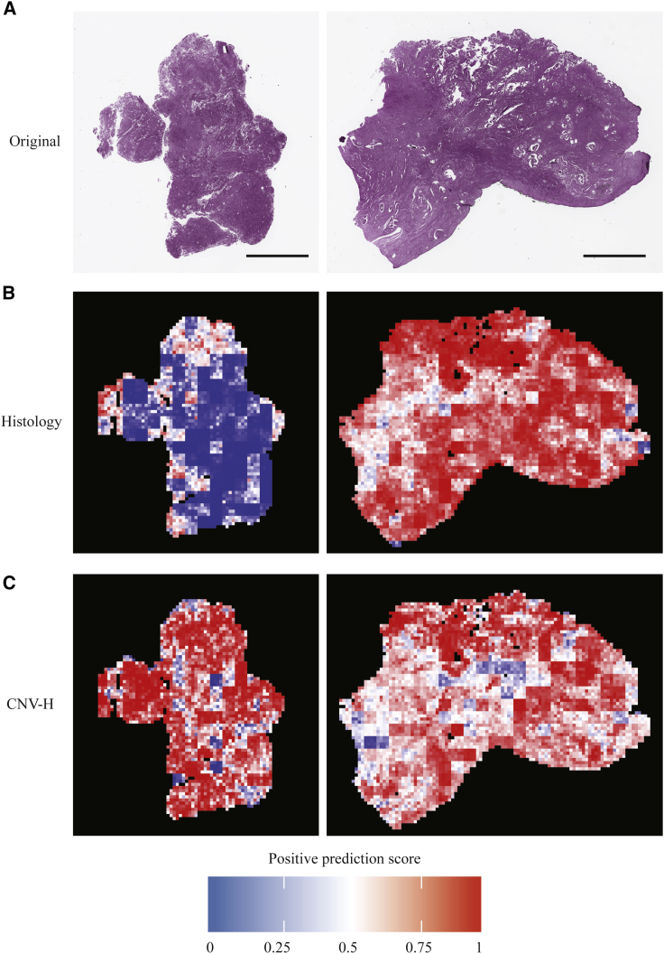 Figure 4