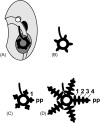 Fig. 4