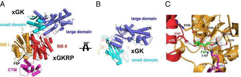 Fig. 1.