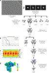 Extended Data Fig. 4
