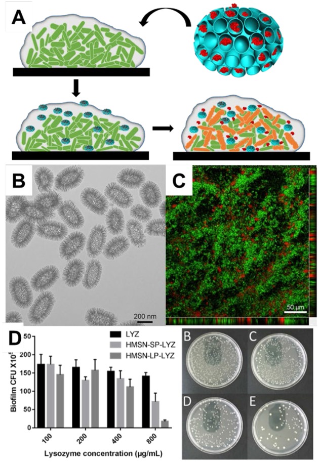 Figure 6