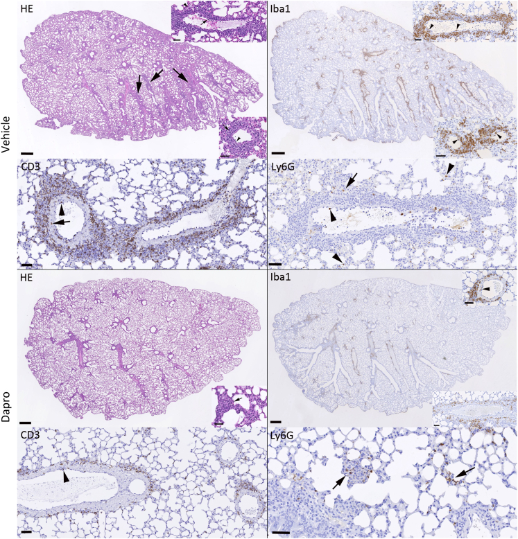 Figure 6