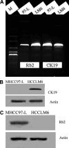 Fig. 6A–C