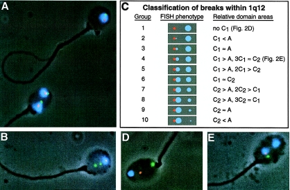 Figure  2