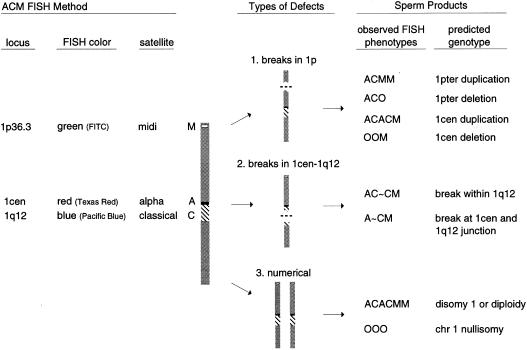 Figure  1