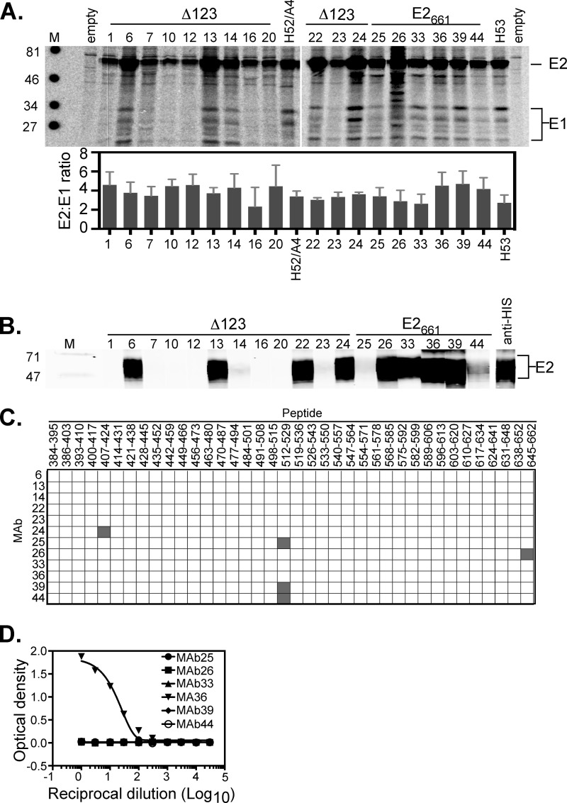 FIG 2