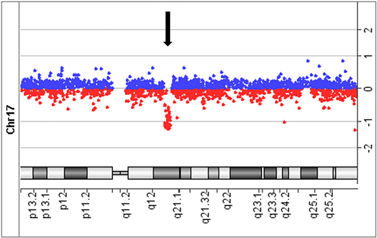 Fig. 2