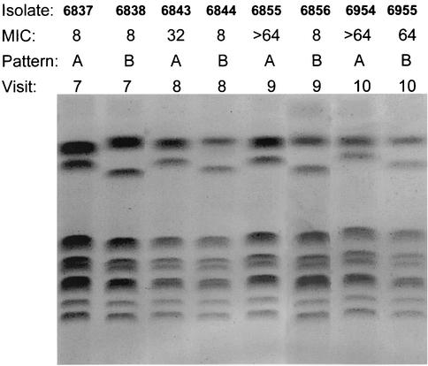 FIG. 1.