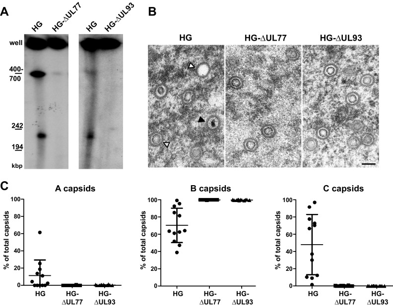 FIG 6