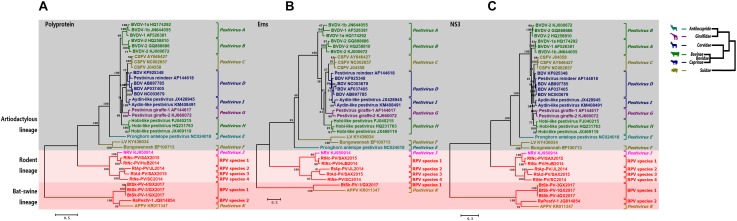 FIGURE 4