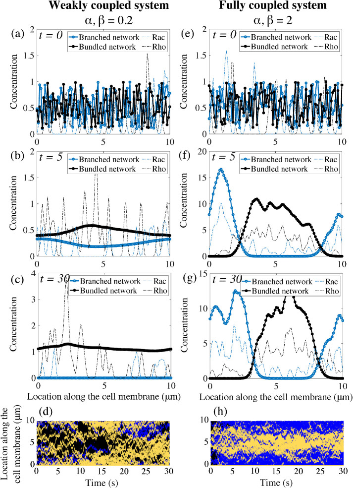 FIGURE 3: