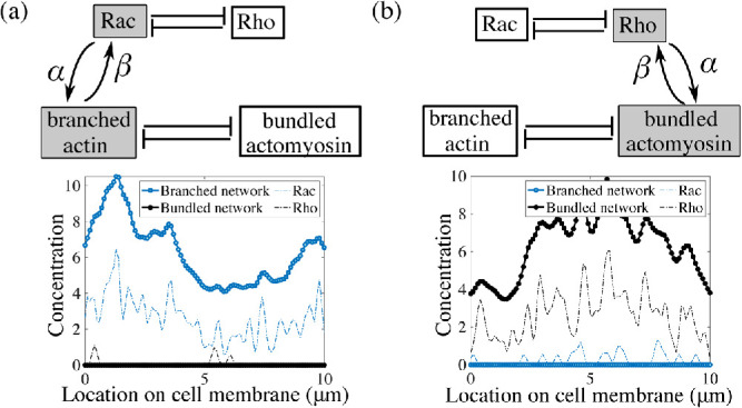 FIGURE 7: