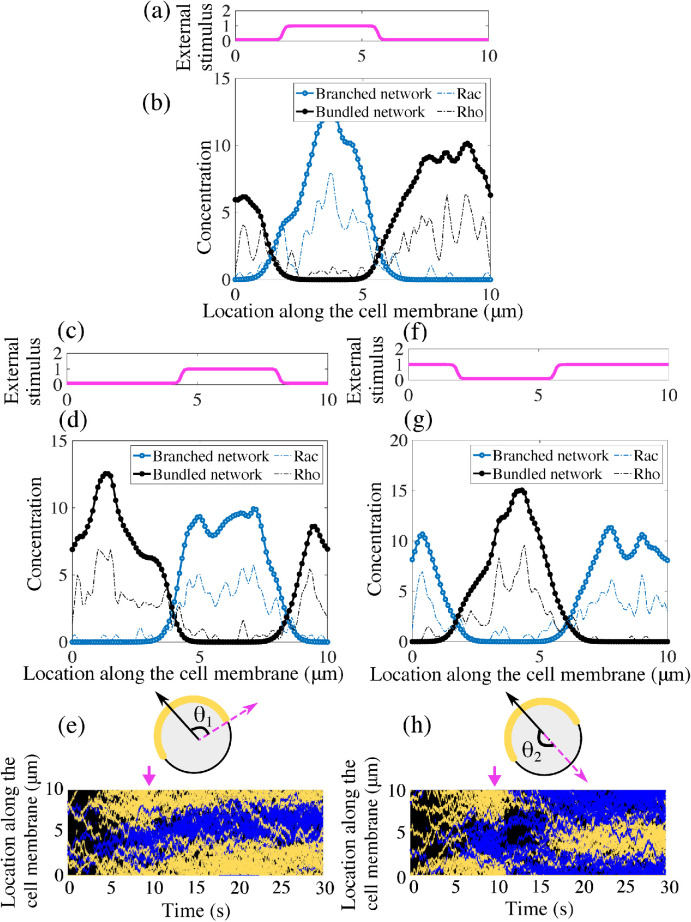 FIGURE 5: