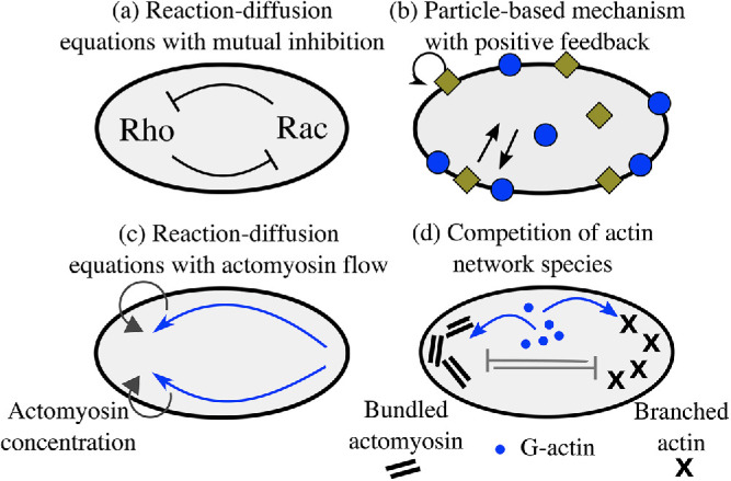 FIGURE 1: