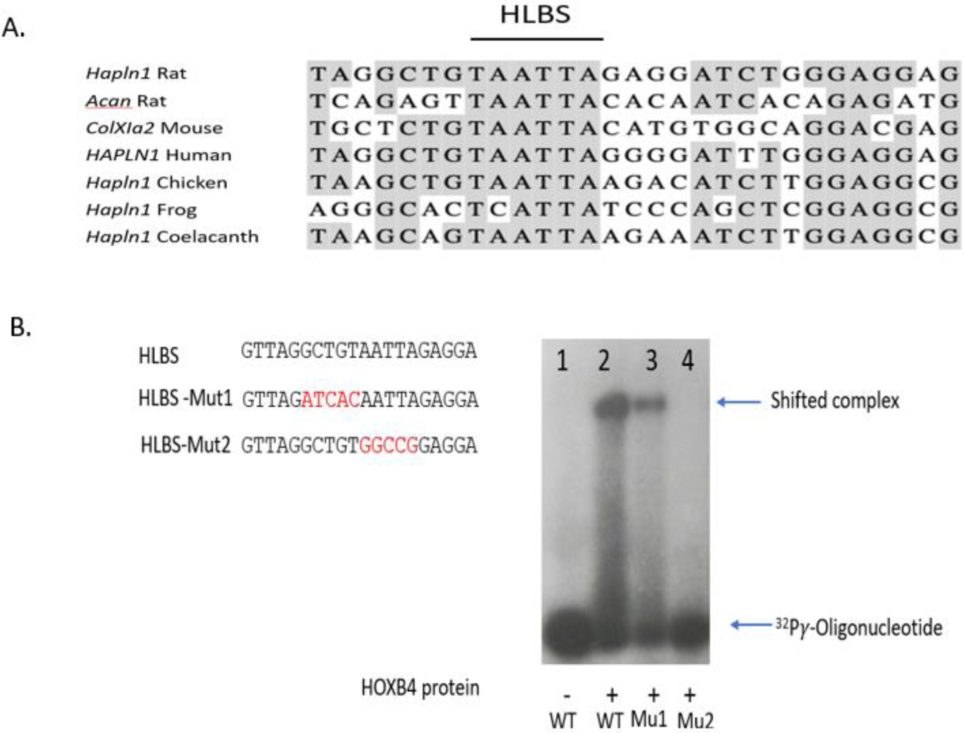 Fig 3.