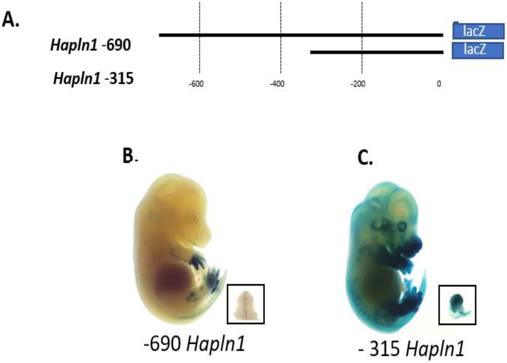 Fig 2.