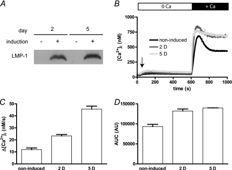 FIGURE 4.