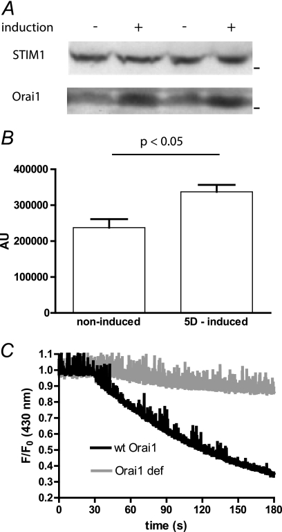 FIGURE 7.