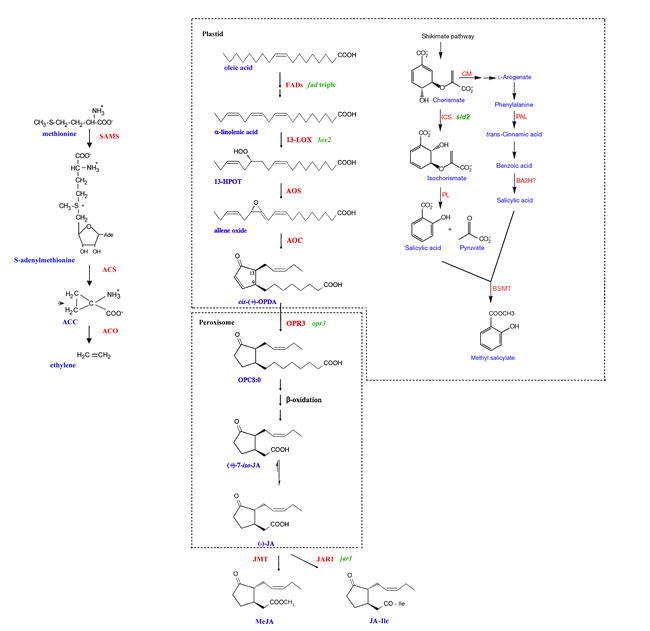 Figure 6.