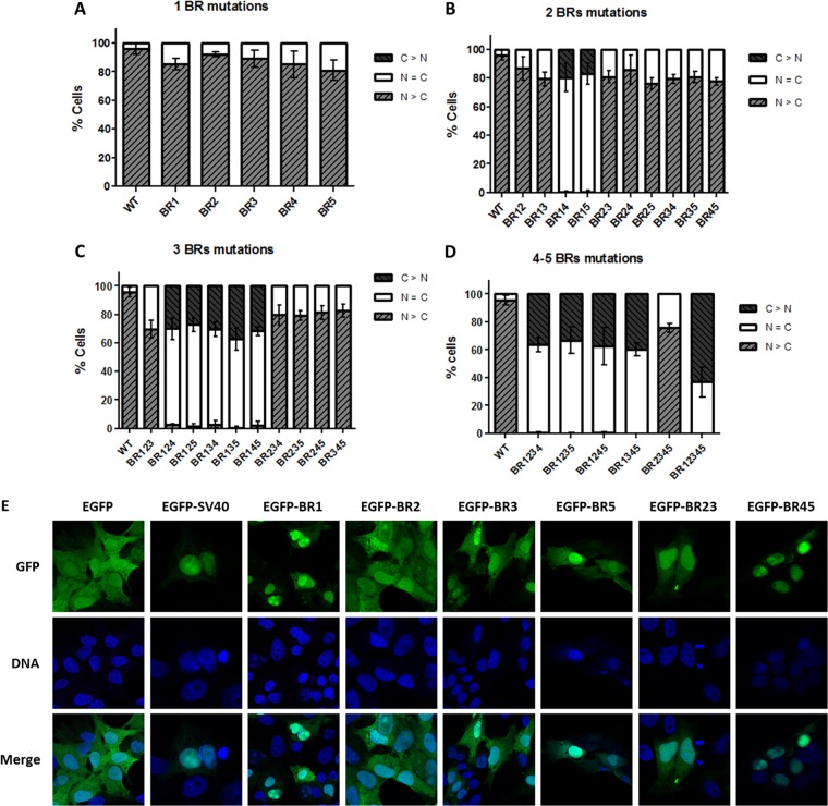 FIG 3