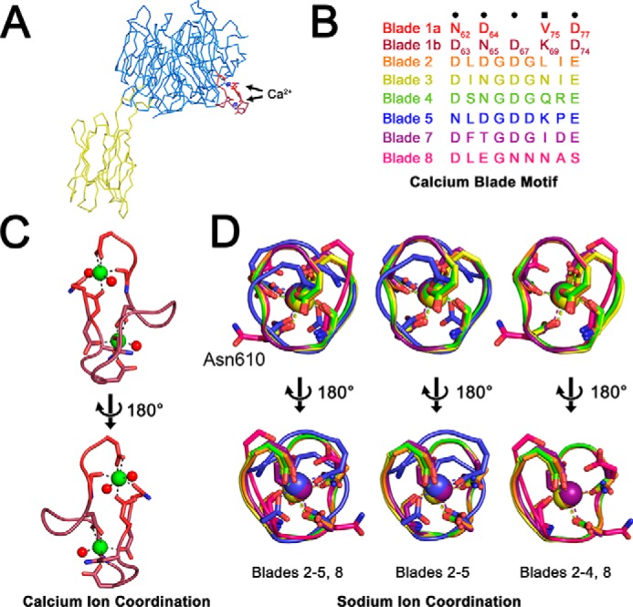 Figure 2.