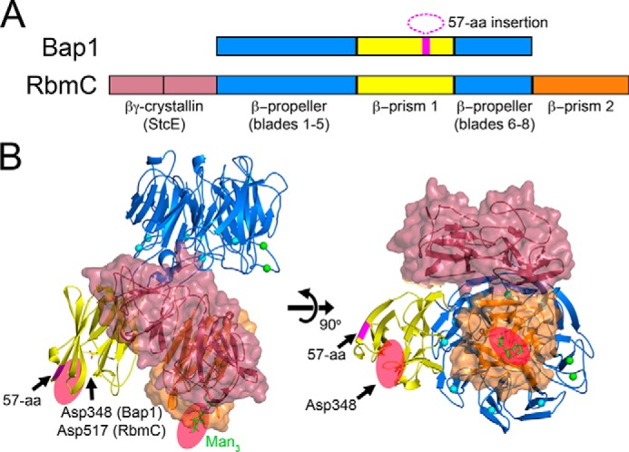 Figure 6.