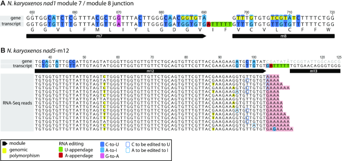 Figure 7.