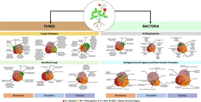 graphic file with name ga1.jpg