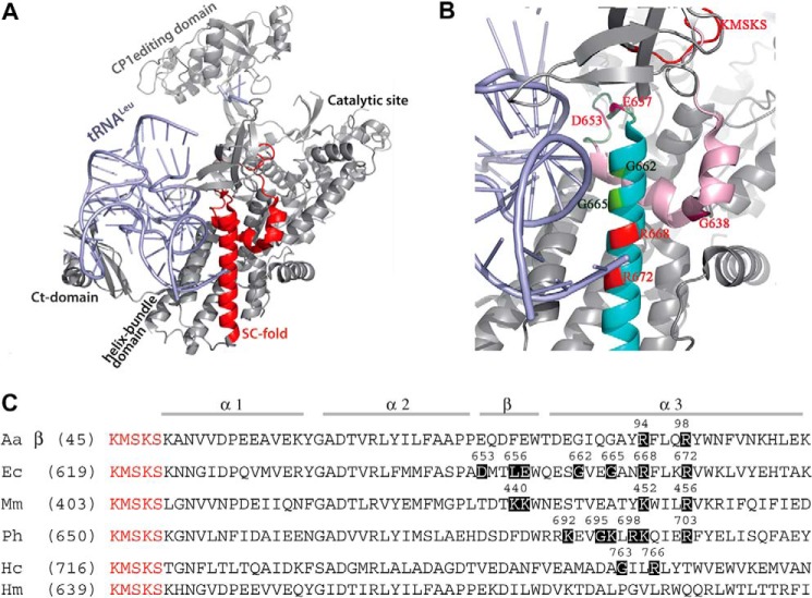 FIGURE 1.