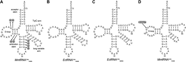 FIGURE 4.