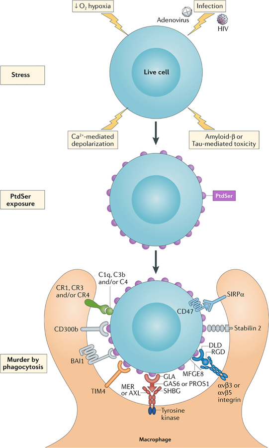 Figure 2.