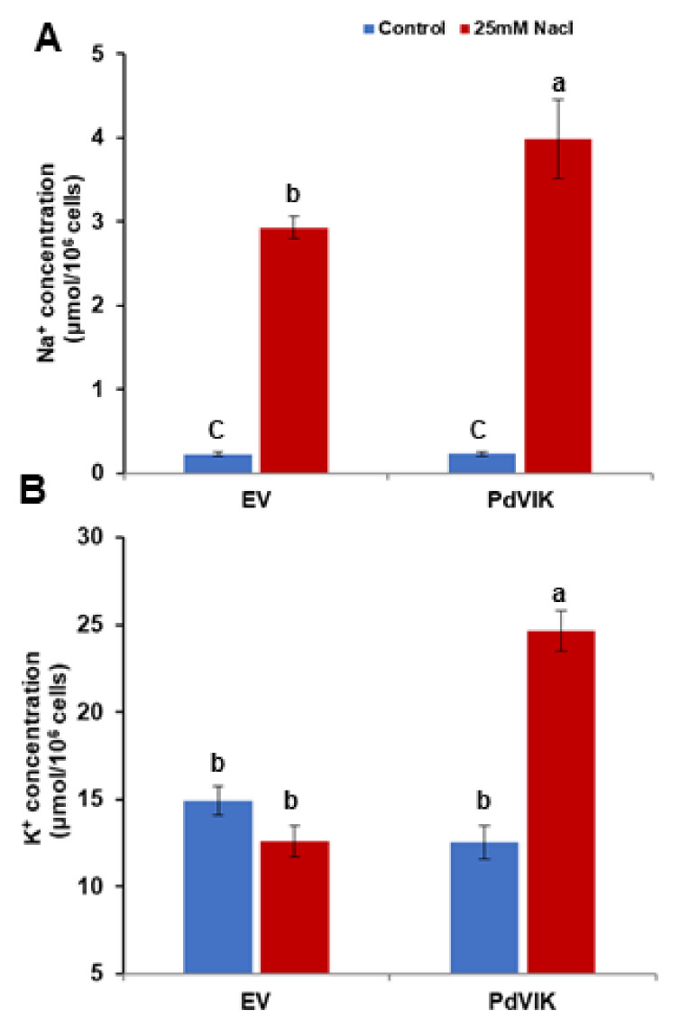 Figure 5