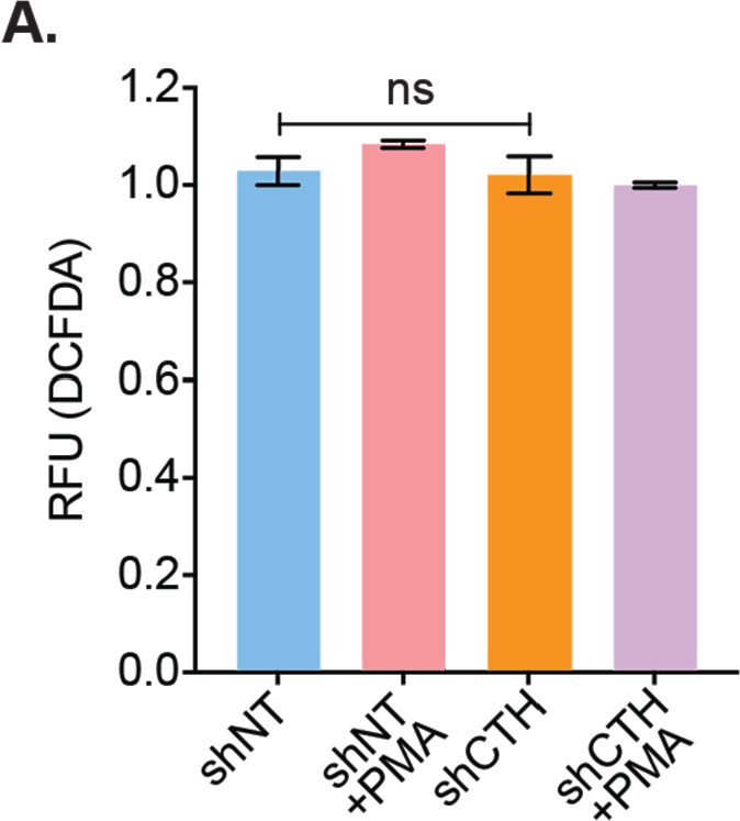 Figure 3—figure supplement 1.