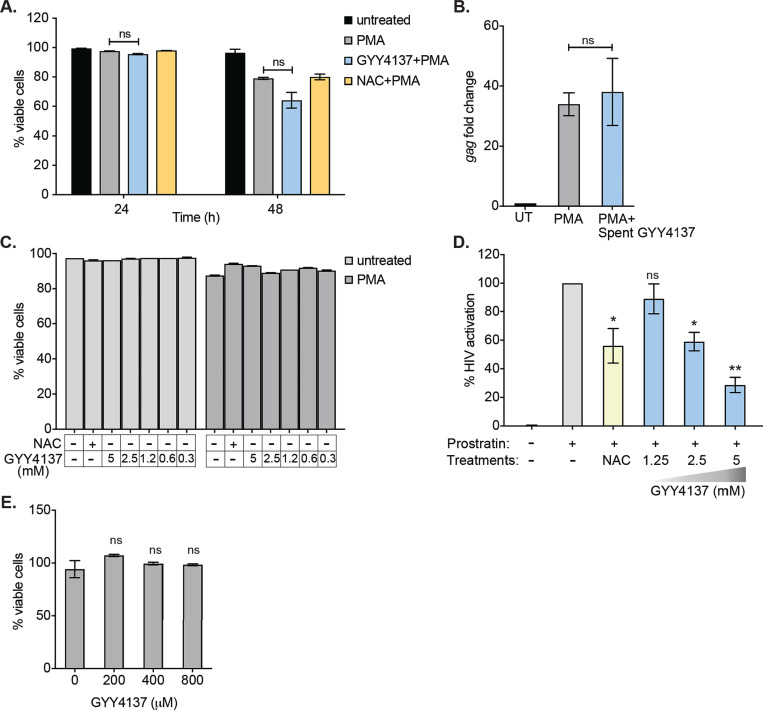 Figure 4—figure supplement 1.