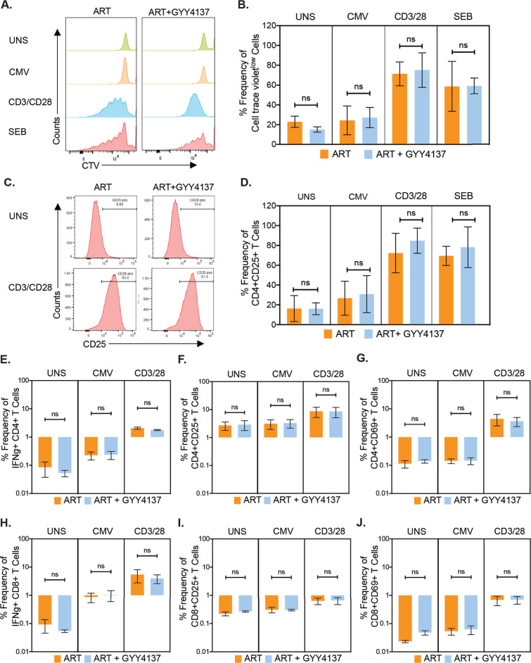 Figure 6—figure supplement 2.