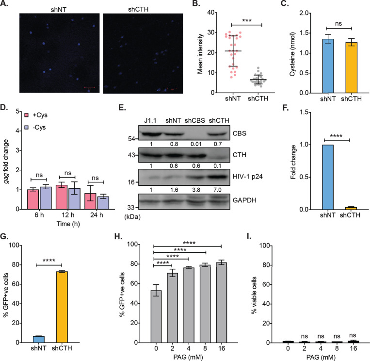 Figure 2—figure supplement 1.