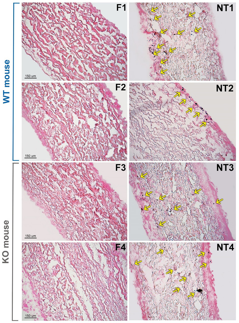 Figure 3