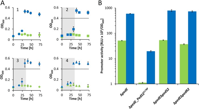 FIG 3 