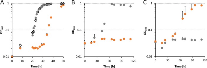 FIG 4 