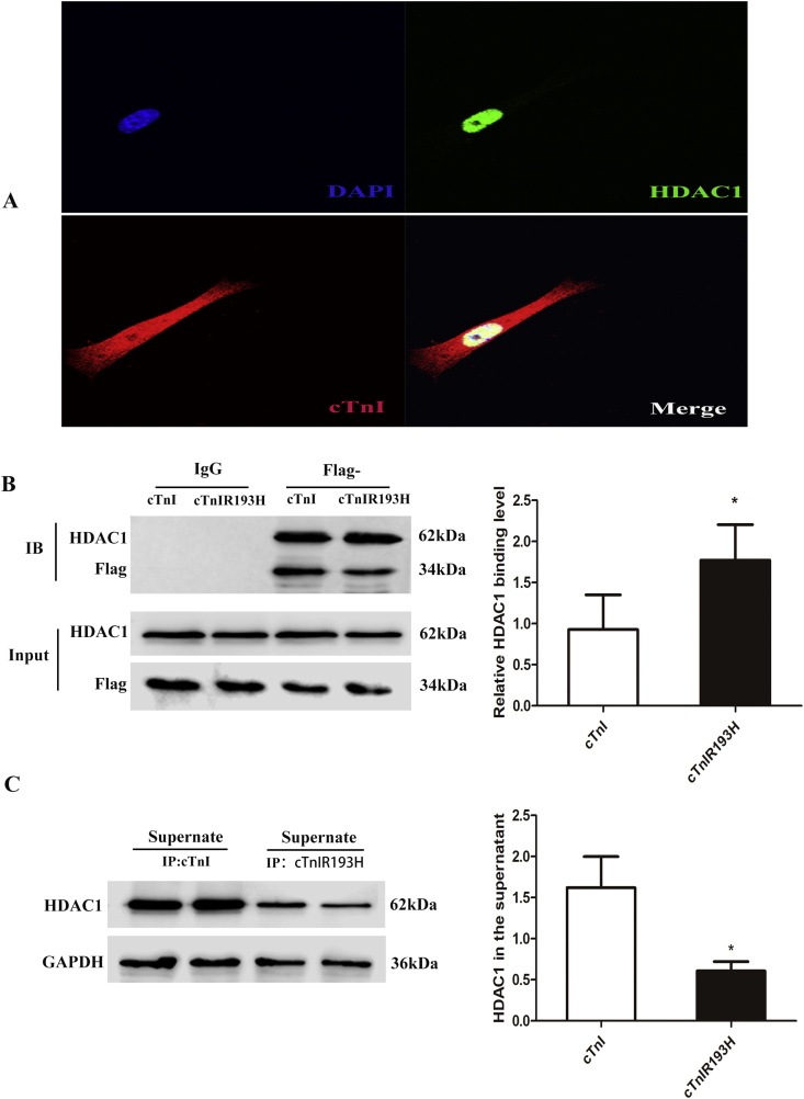 Figure 5