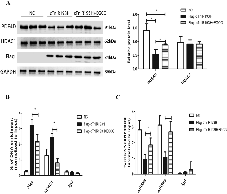 Figure 6