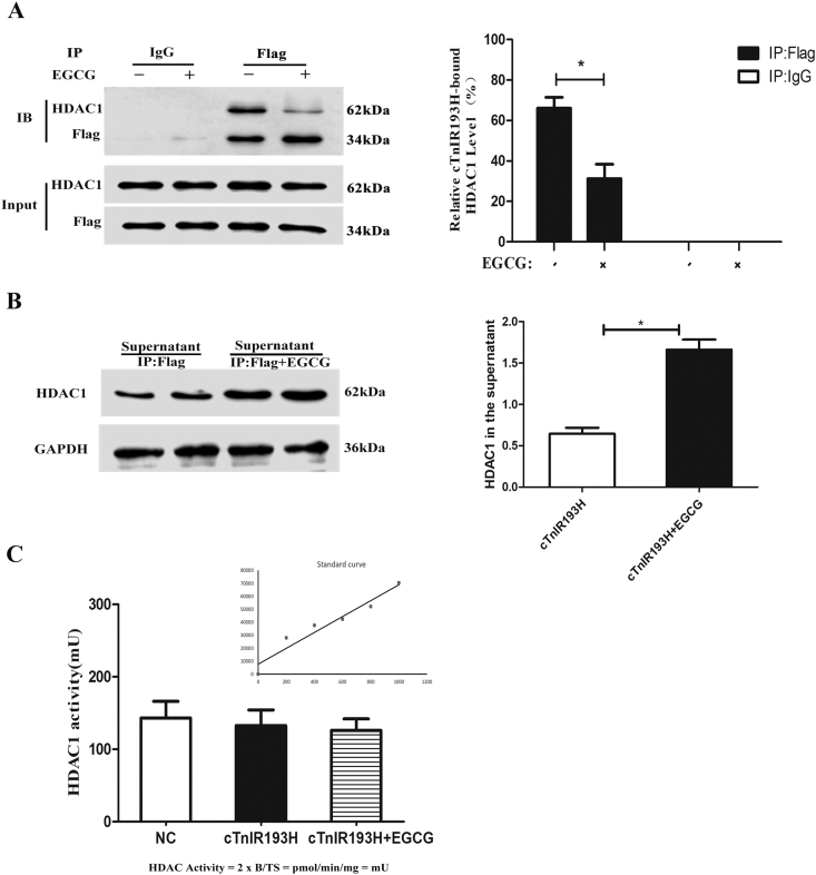 Figure 7