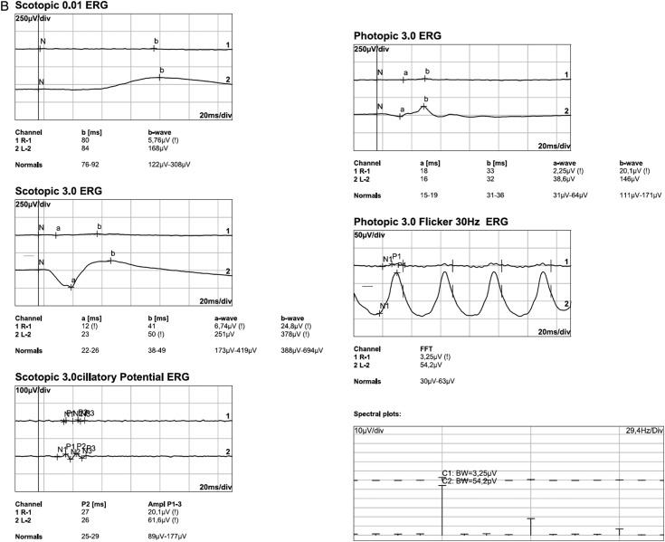 Figure 3