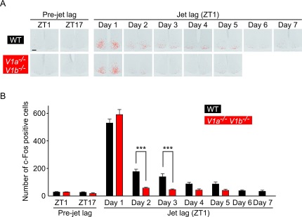 Fig. 4.