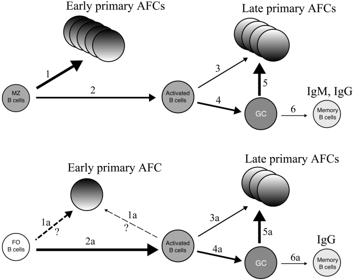 Figure 9.