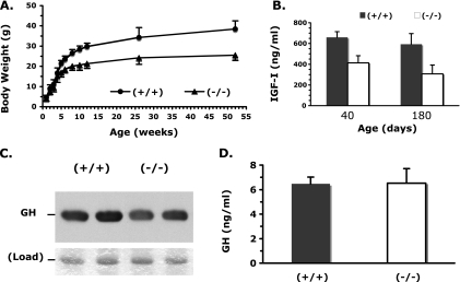 FIG. 1.