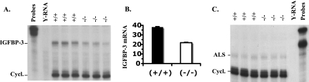 FIG. 5.