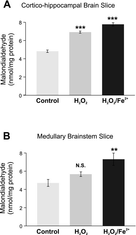 Fig. 10.