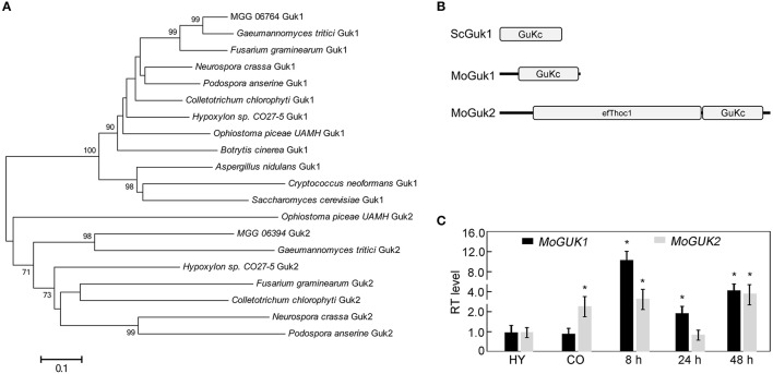 Figure 2