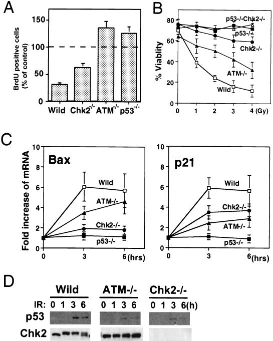 FIG. 5.